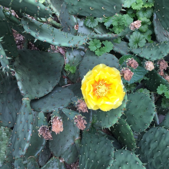 Meet your Posher, Sandra - Picture 1 of 1